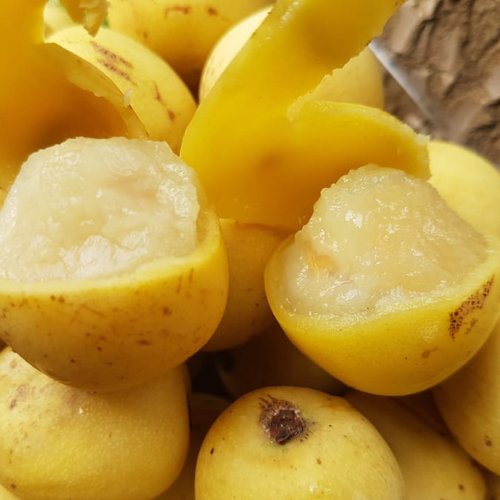 Marula Oil