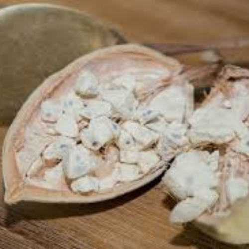 Baobab Oil